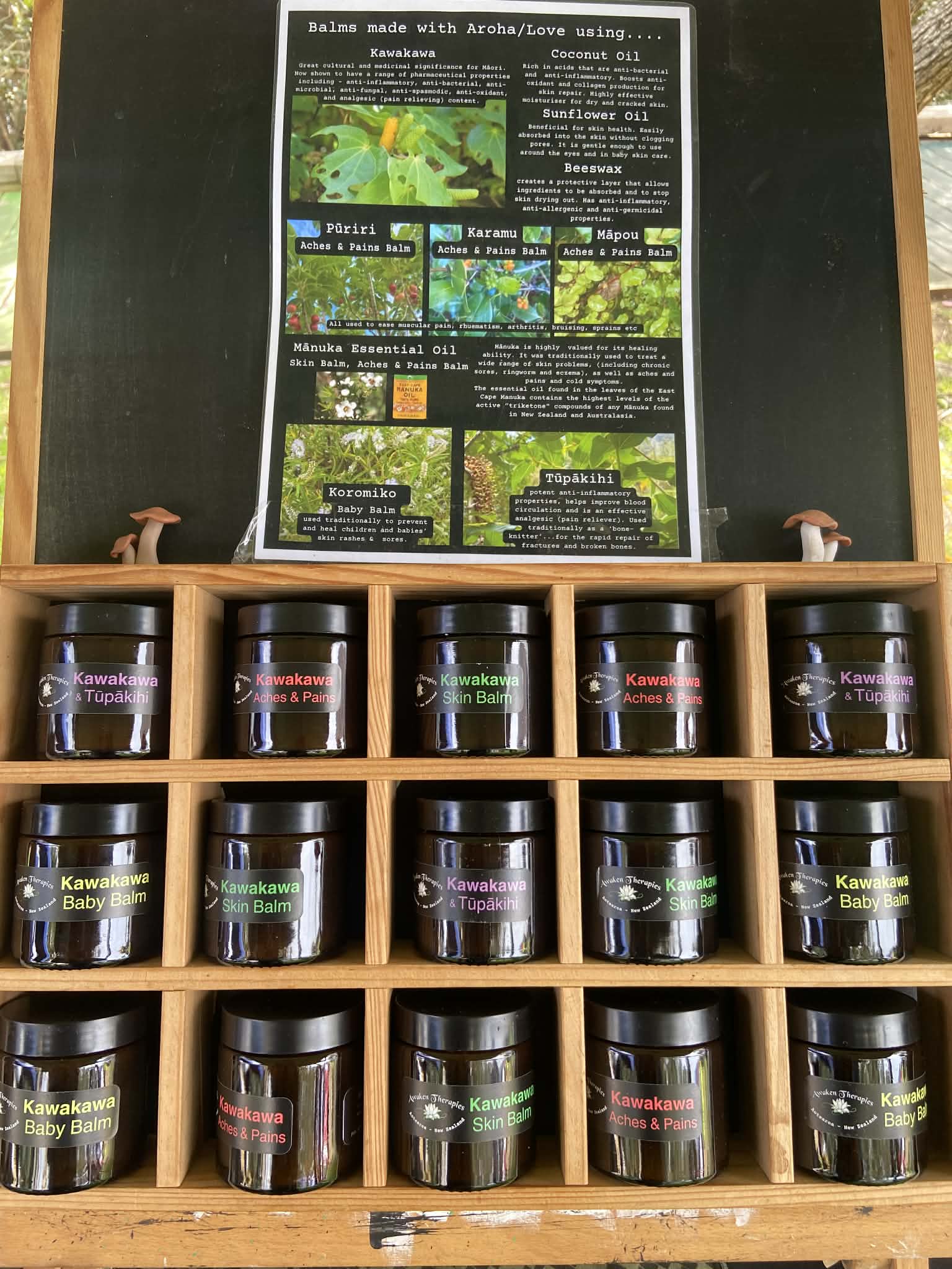 Awaken Therapies Kawakawa Balms